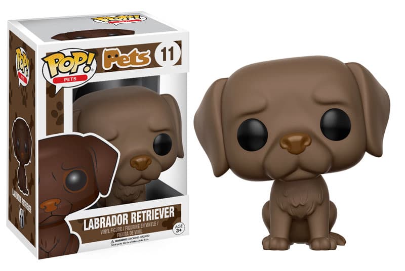Labrador Retriever #11